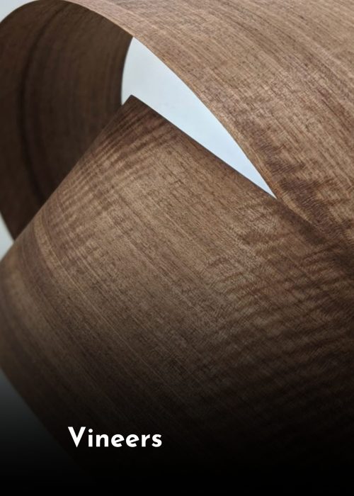 Premium Plywood (1)
