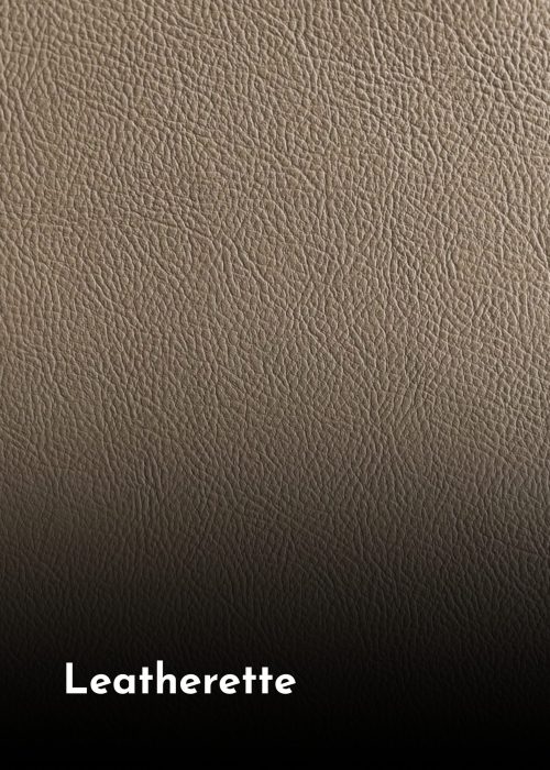 Premium Plywood (3)