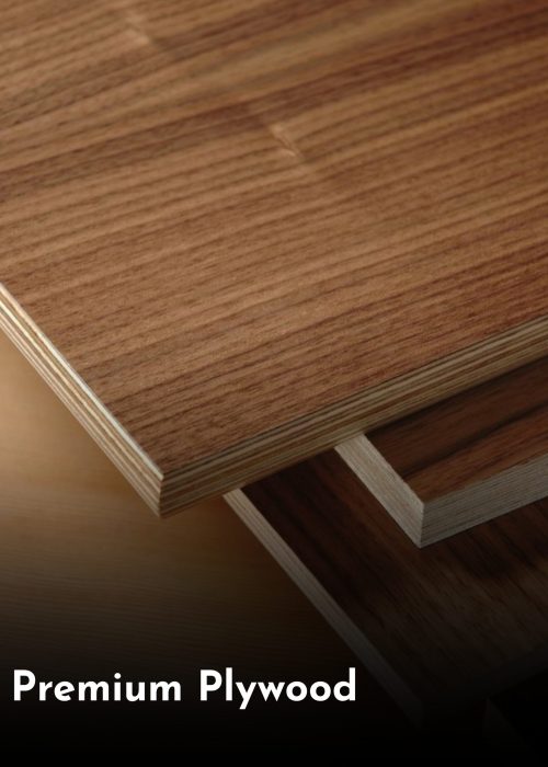 Premium Plywood (4)